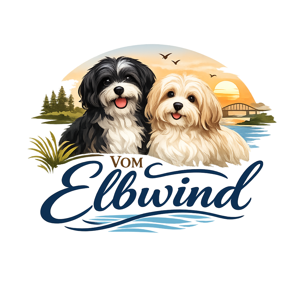 Havaneser vom Elbwind - Logo